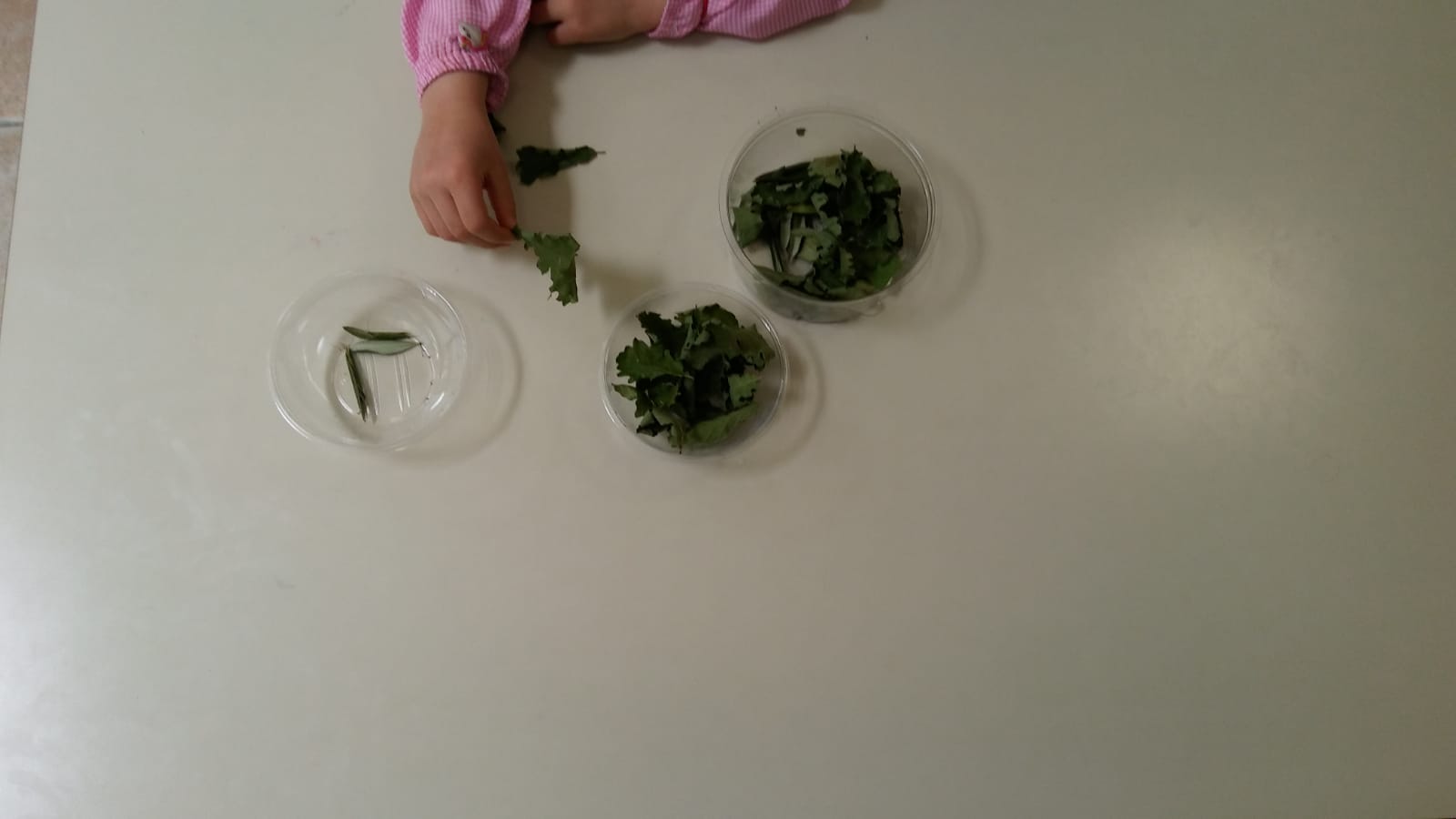 B07-2012-05-24.jpeg