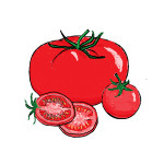 Pomodori