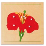 Incastro_Fiore_Montessori