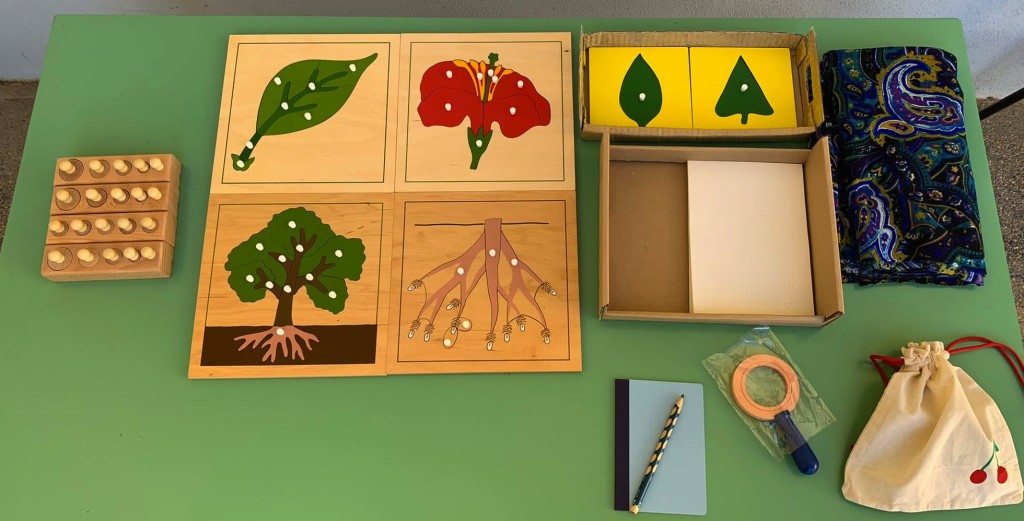 Inastri solidi Botanica Montessori